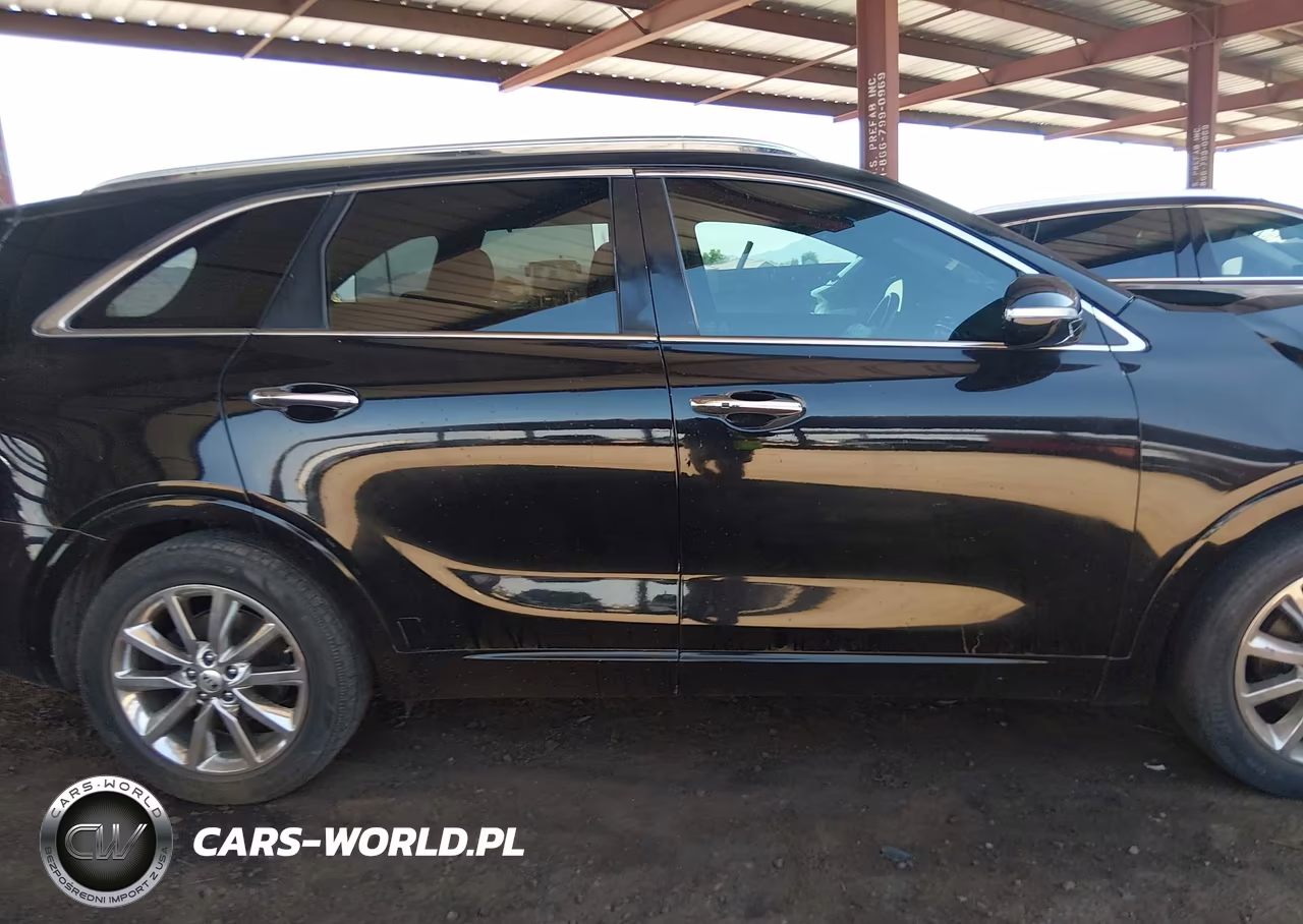 2016 Kia Sorento 3.3L Sxl VIN:5XYPK4A54GG076352 - 12