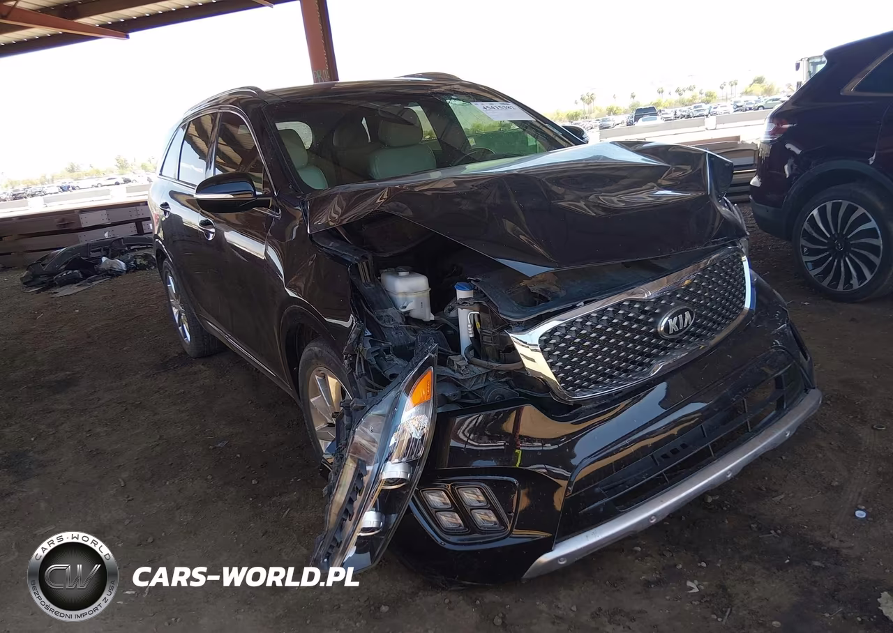 2016 Kia Sorento 3.3L Sxl VIN:5XYPK4A54GG076352 - 6