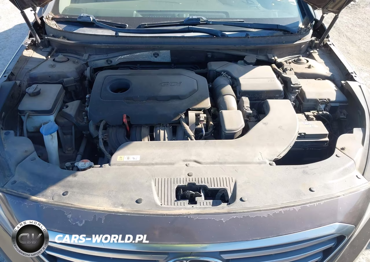 2016 Hyundai Sonata VIN:5NPE24AF1GH392686 - 10