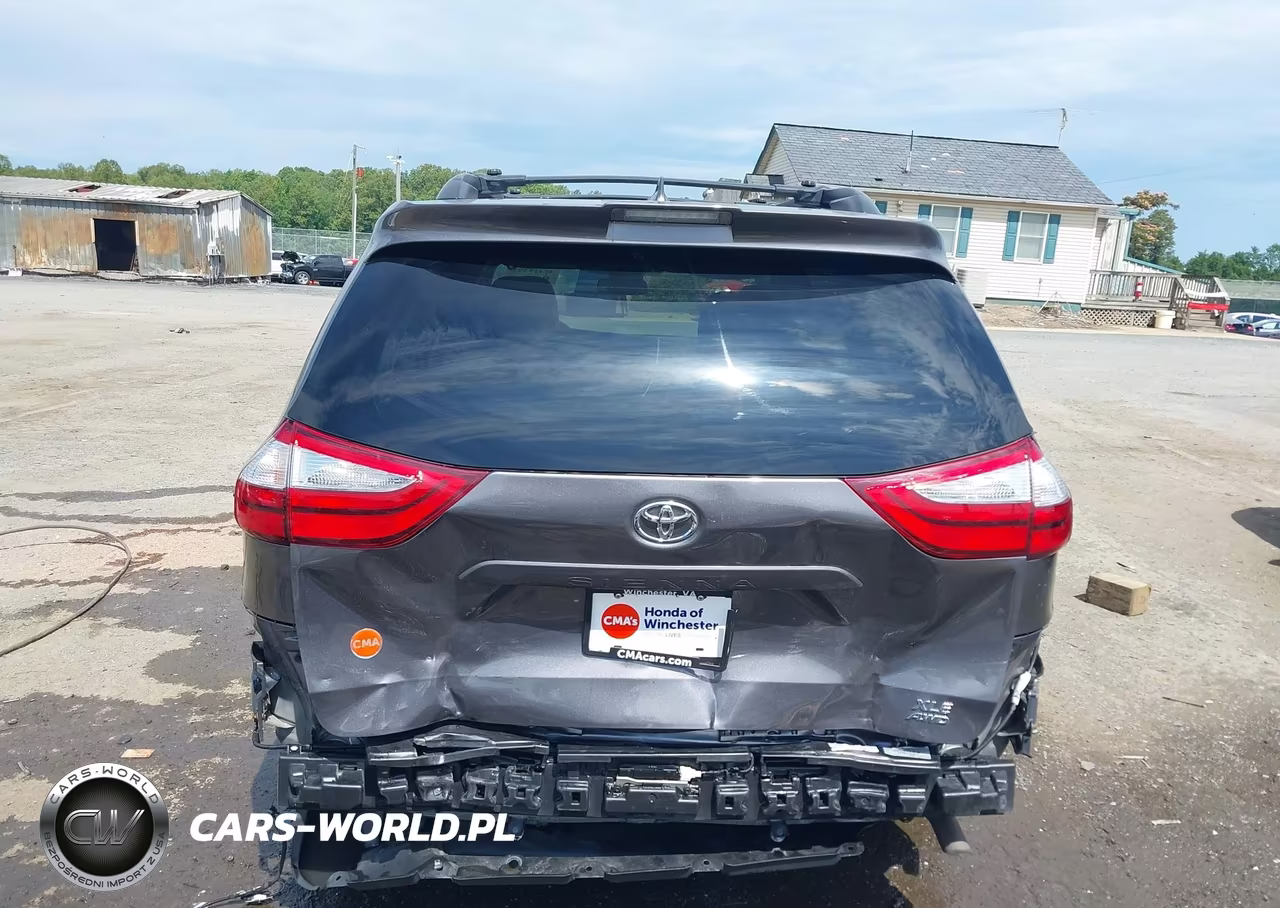 2018 Toyota Sienna Xle Premium 7 Passenger VIN:5TDDZ3DC3JS192056 - 6