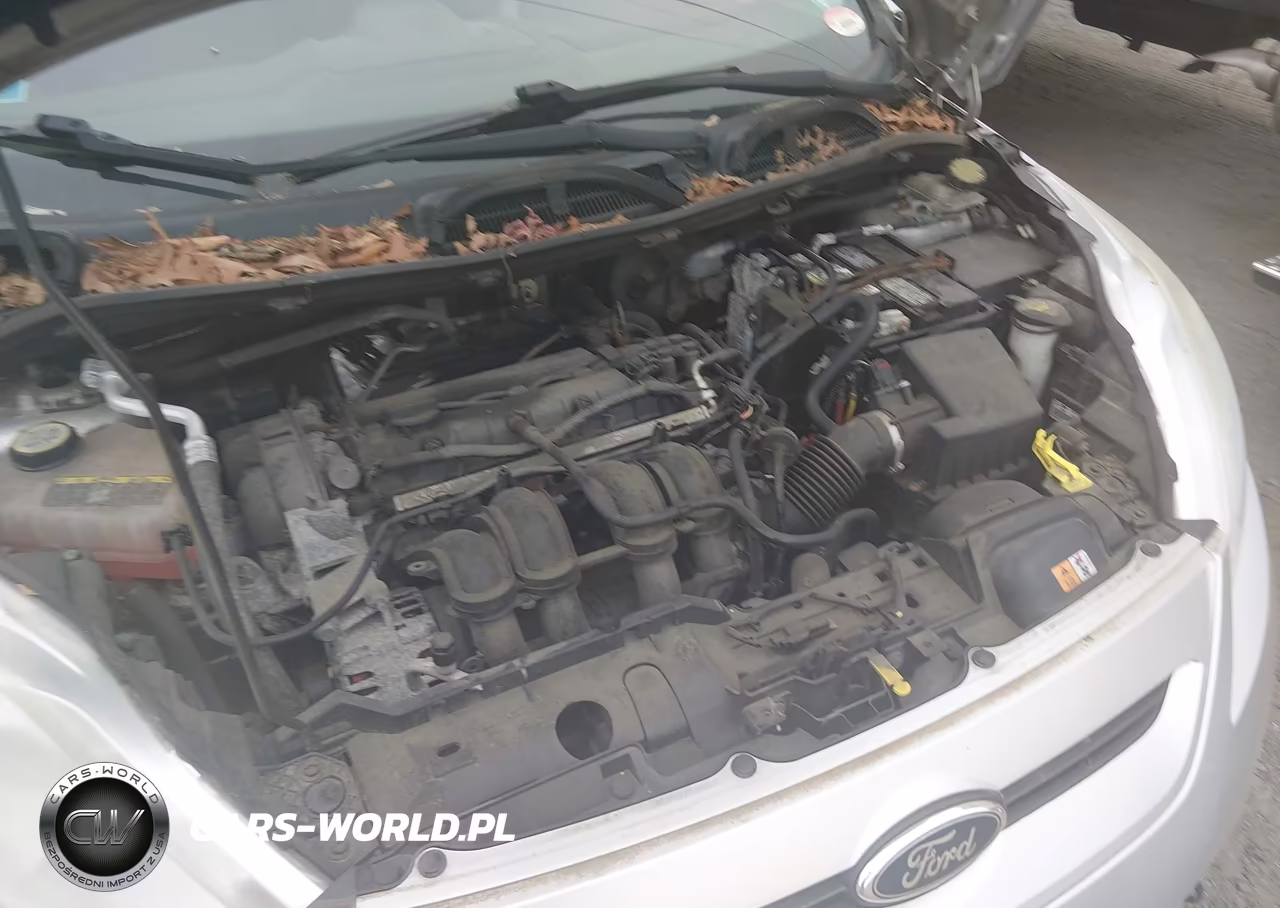 2013 Ford Fiesta Se VIN:3FADP4EJXDM164337 - 10