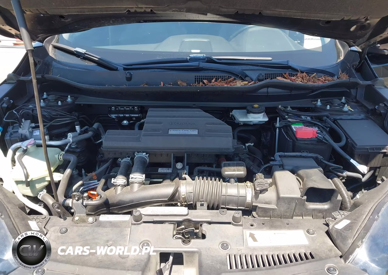 2017 Honda Cr-V Touring VIN:2HKRW2H92HH603227 - 10