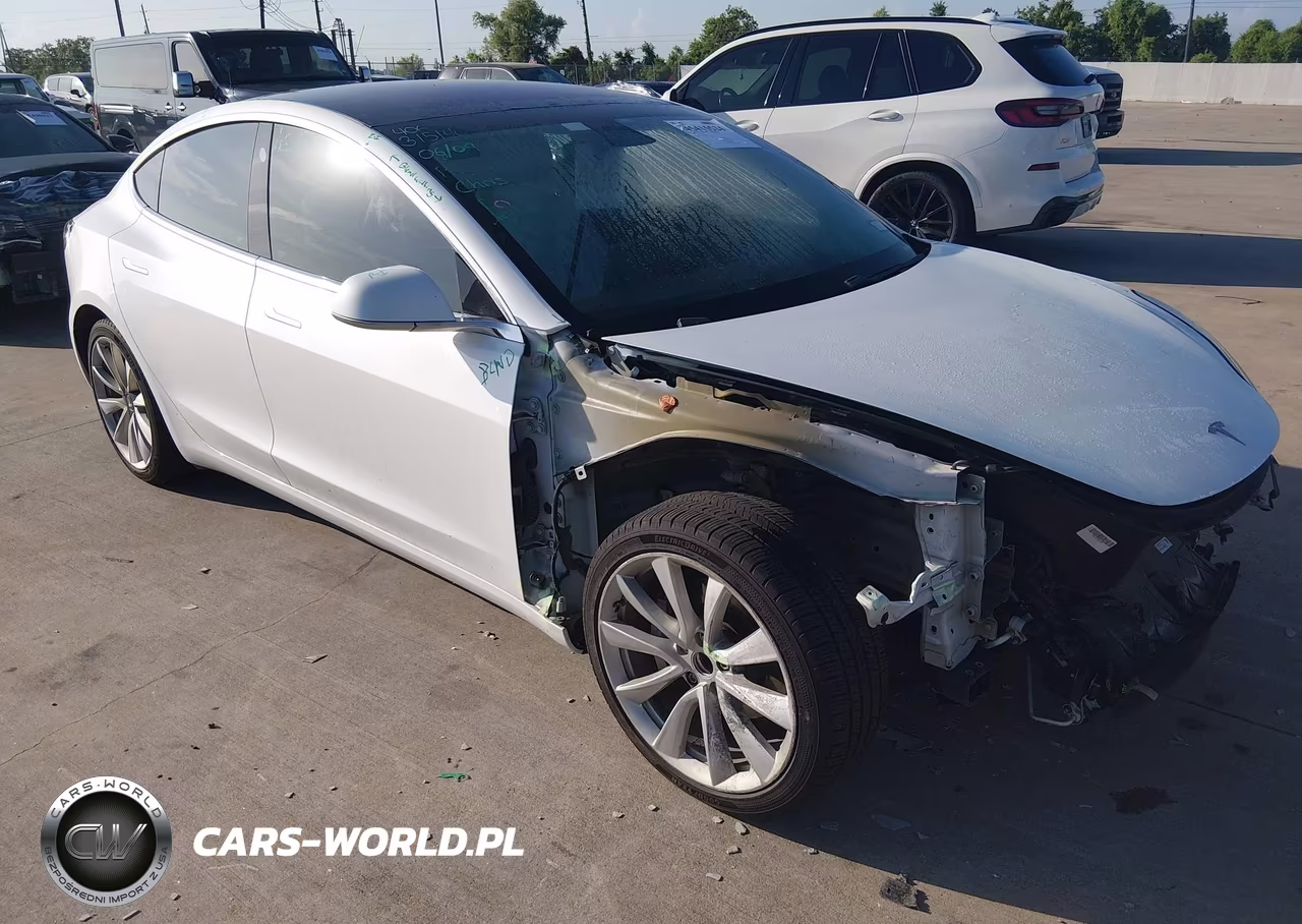 2019 Tesla Model 3 Long Range-Mid Range-Standard Range-Standard Range Plus