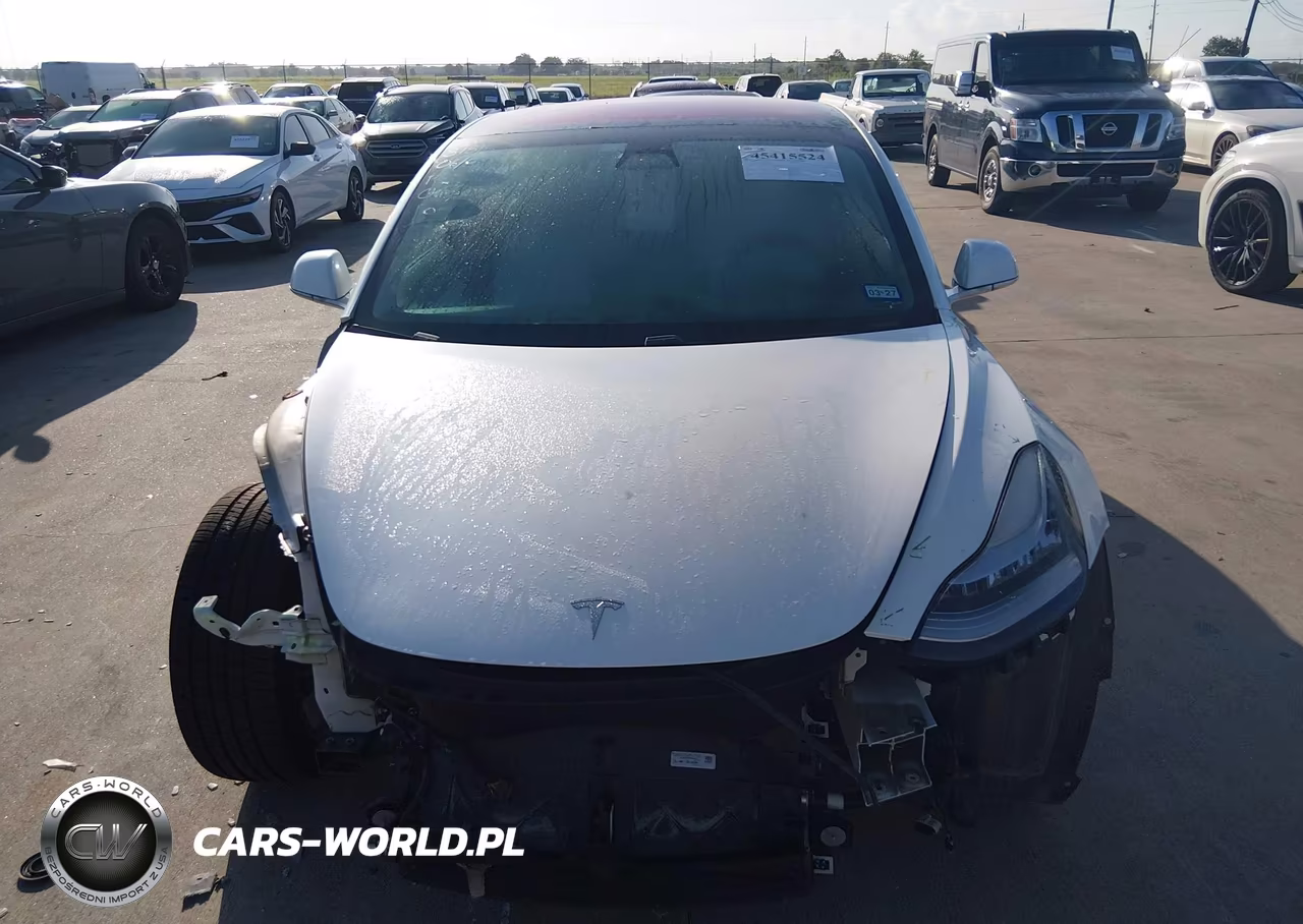 2019 Tesla Model 3 Long Range-Mid Range-Standard Range-Standard Range Plus VIN:5YJ3E1EA8KF315140 - 11