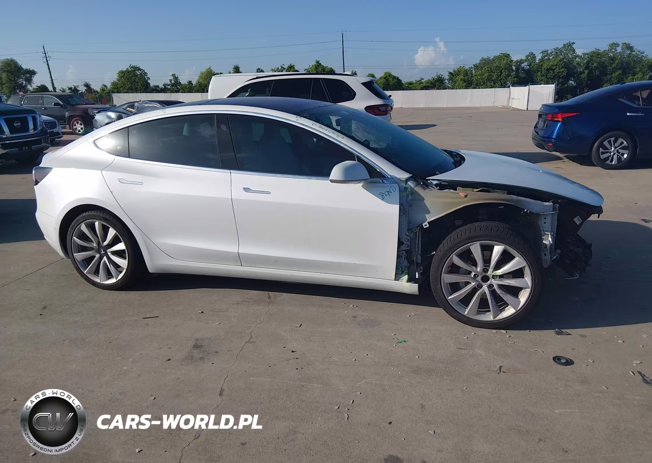 2019 Tesla Model 3 Long Range-Mid Range-Standard Range-Standard Range Plus VIN:5YJ3E1EA8KF315140 - 12