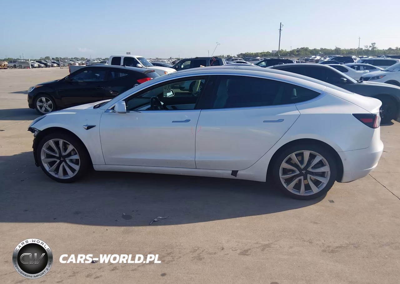 2019 Tesla Model 3 Long Range-Mid Range-Standard Range-Standard Range Plus VIN:5YJ3E1EA8KF315140 - 13