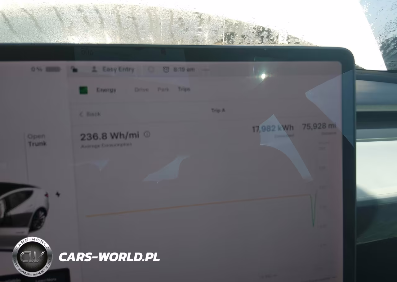 2019 Tesla Model 3 Long Range-Mid Range-Standard Range-Standard Range Plus VIN:5YJ3E1EA8KF315140 - 14