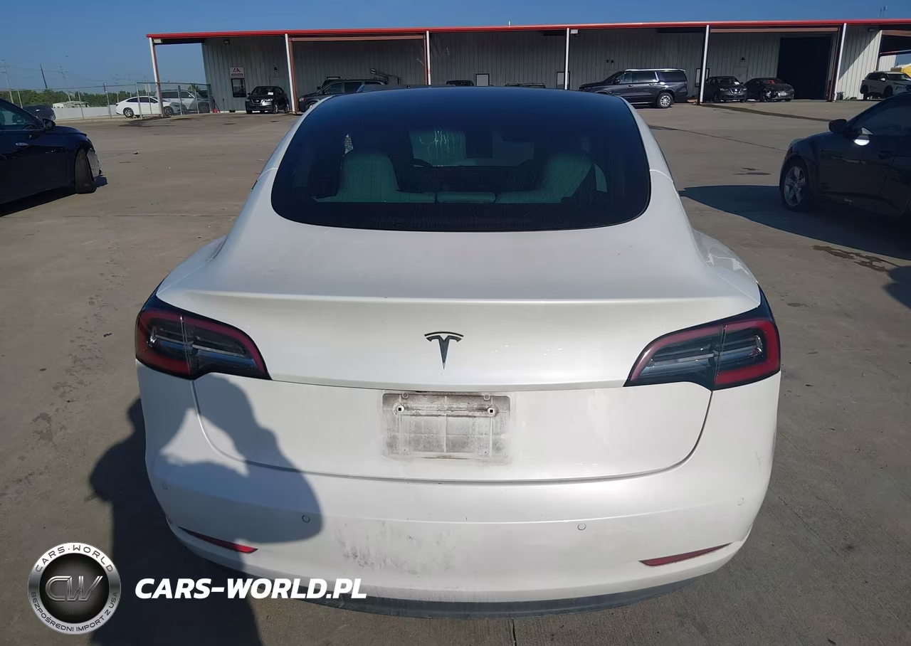 2019 Tesla Model 3 Long Range-Mid Range-Standard Range-Standard Range Plus VIN:5YJ3E1EA8KF315140 - 15