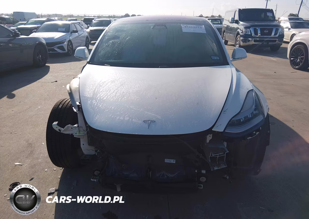 2019 Tesla Model 3 Long Range-Mid Range-Standard Range-Standard Range Plus VIN:5YJ3E1EA8KF315140 - 6