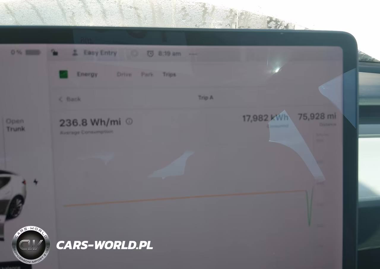 2019 Tesla Model 3 Long Range-Mid Range-Standard Range-Standard Range Plus VIN:5YJ3E1EA8KF315140 - 7