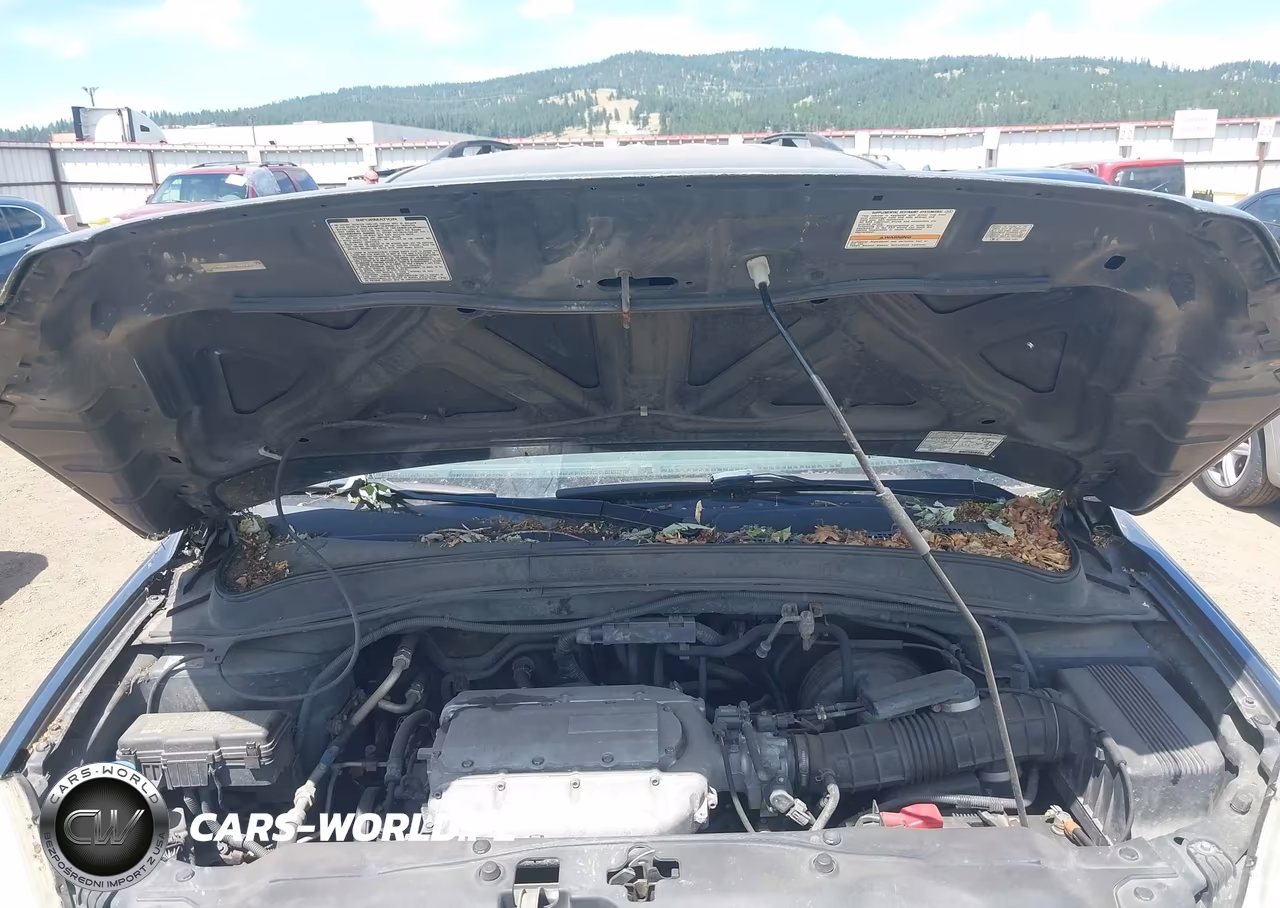 2003 Honda Pilot Ex-L VIN:2HKYF18593H601437 - 10