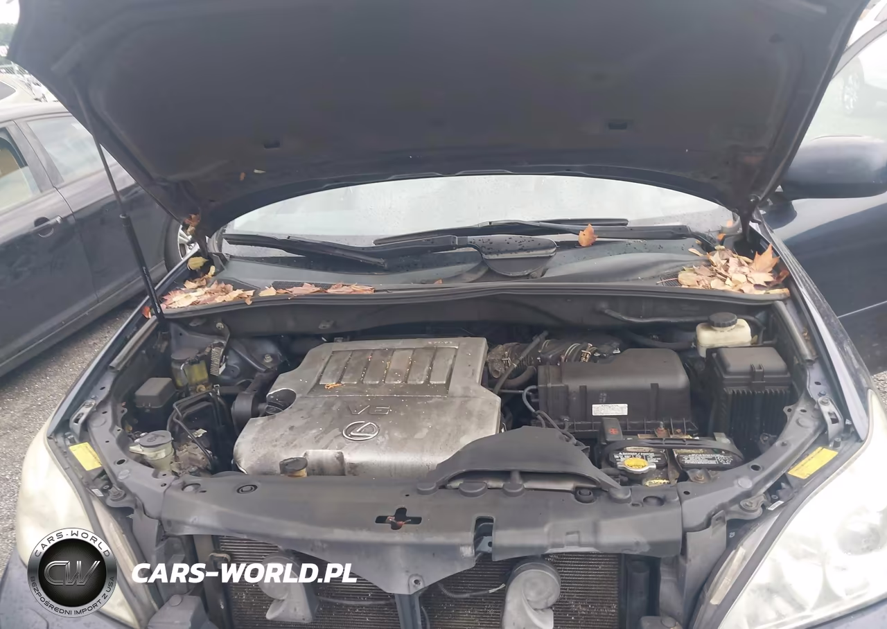 2007 Lexus Rx 350 VIN:2T2HK31UX7C040310 - 10