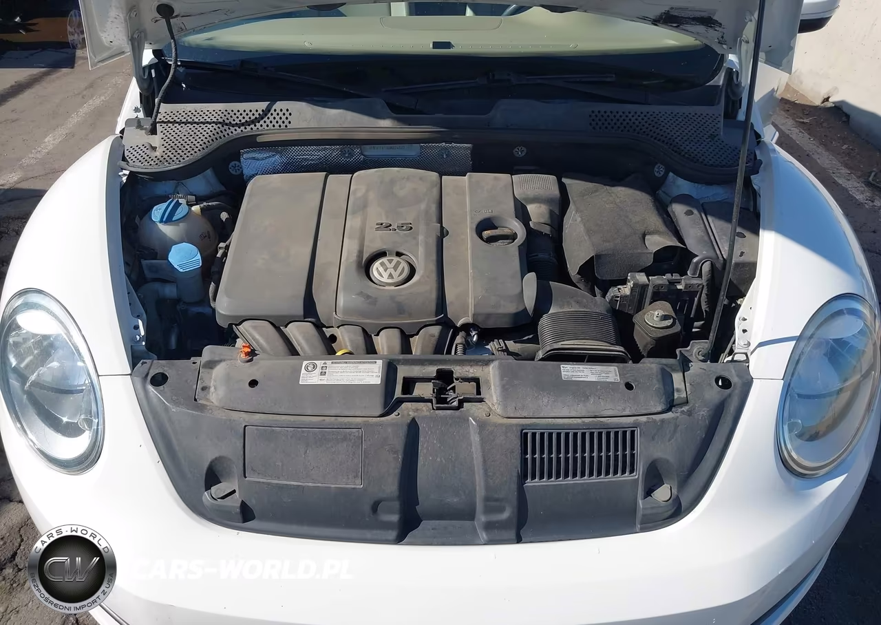 2013 Volkswagen Beetle 2.5L VIN:3VW5P7AT9DM824887 - 10