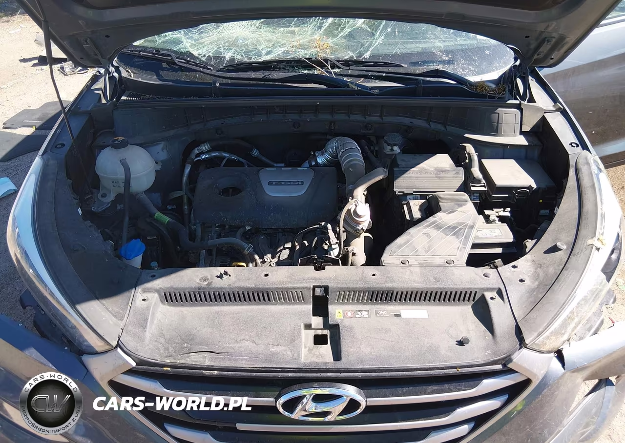 2018 Hyundai Tucson Value VIN:KM8J33A29JU752072 - 10