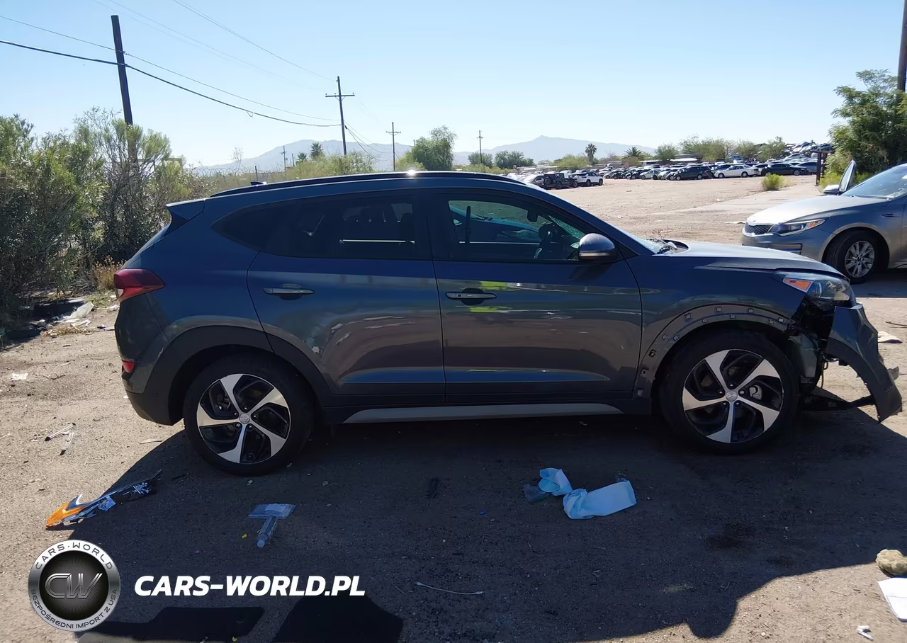2018 Hyundai Tucson Value VIN:KM8J33A29JU752072 - 12