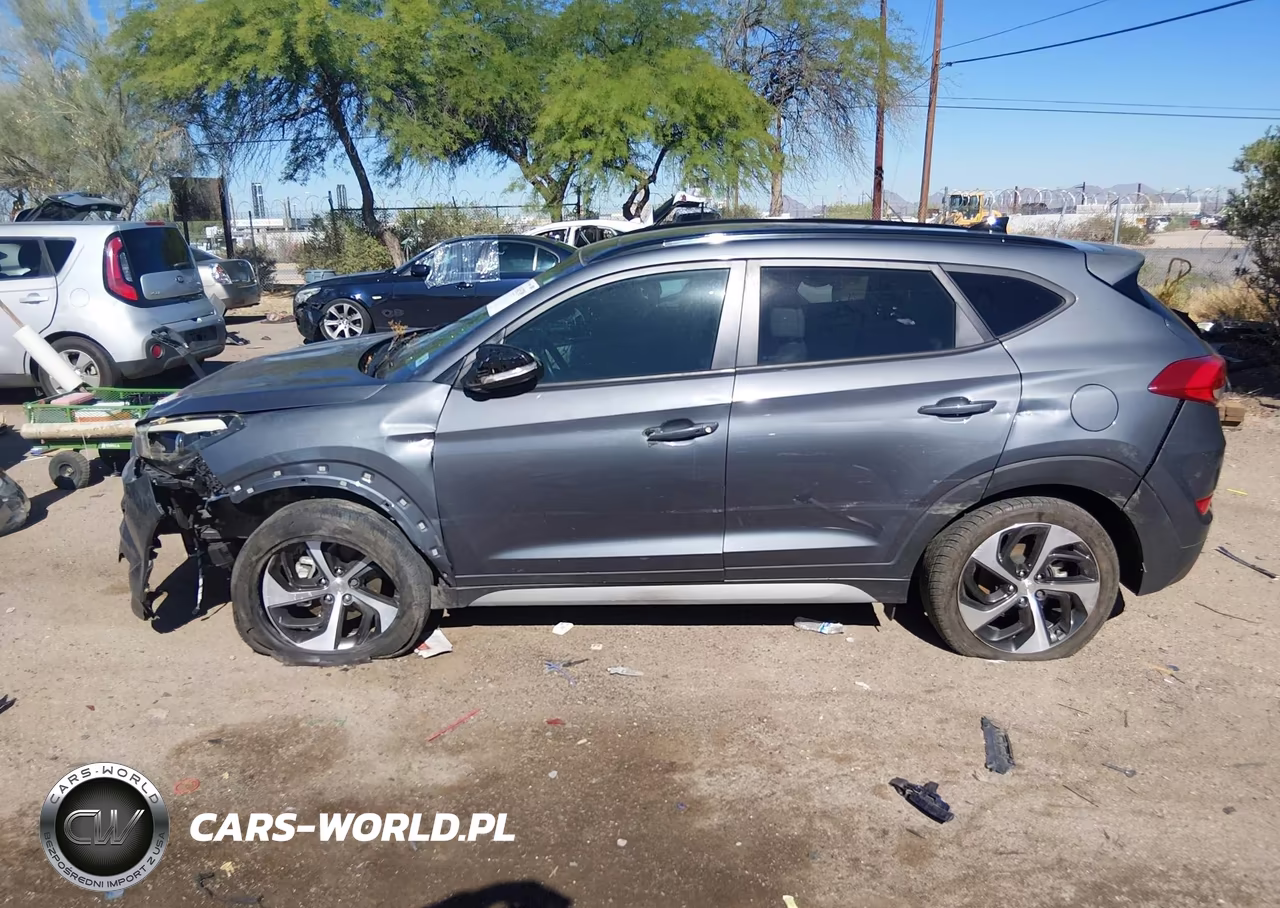 2018 Hyundai Tucson Value VIN:KM8J33A29JU752072 - 13