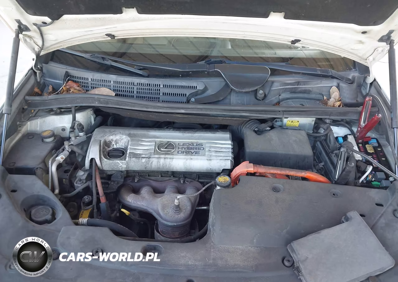 2010 Lexus Hs 250H Premium VIN:JTHBB1BAXA2032165 - 10