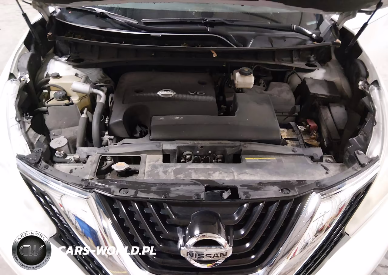 2015 Nissan Murano Sl VIN:5N1AZ2MH1FN284543 - 10