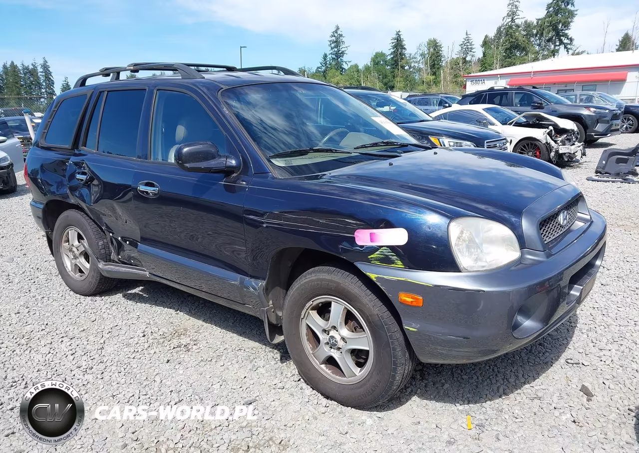 2004 Hyundai Santa Fe Gls-Lx – zdjęcie 1 z 19