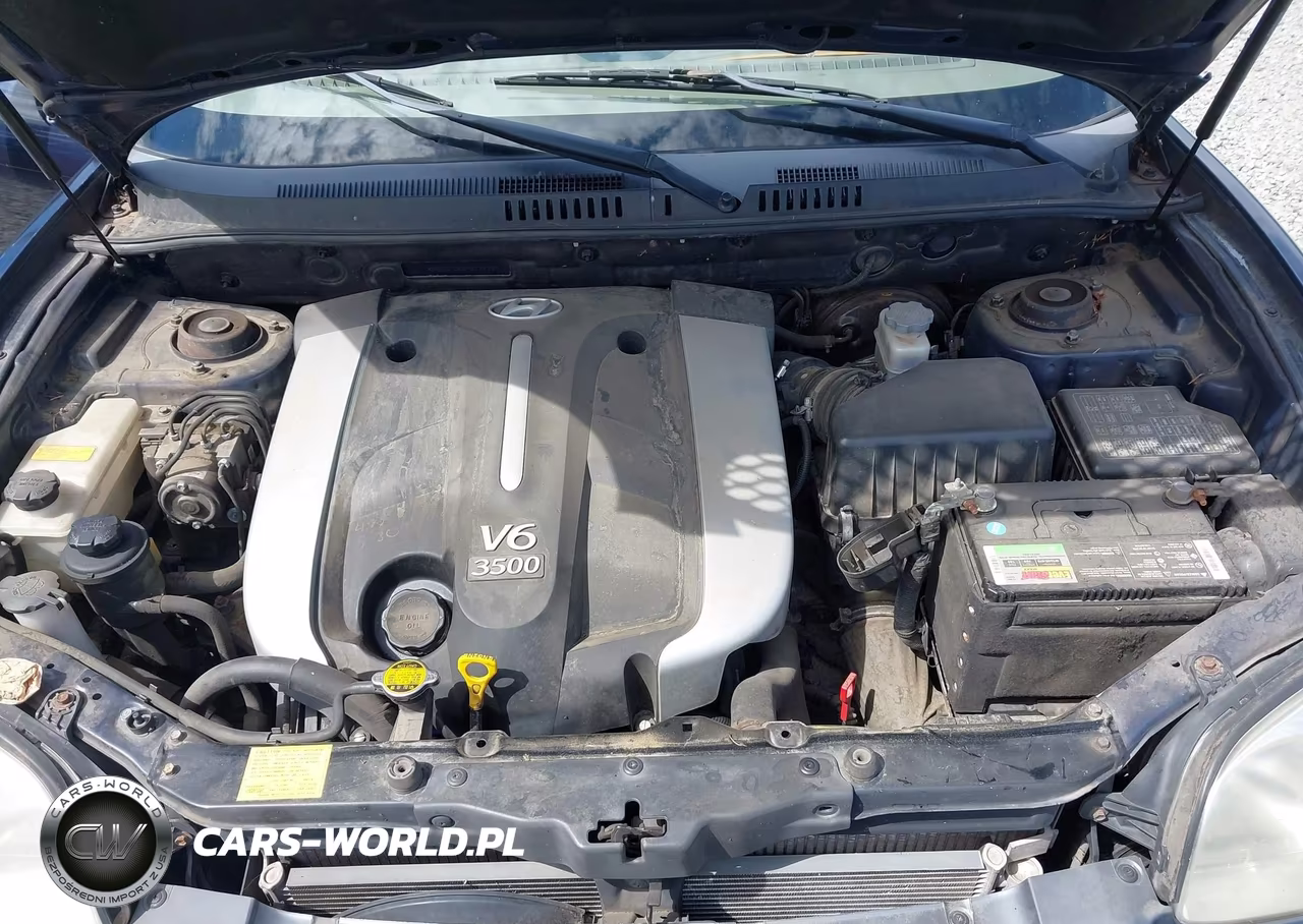 2004 Hyundai Santa Fe Gls-Lx VIN:KM8SC73E84U724397 - 10