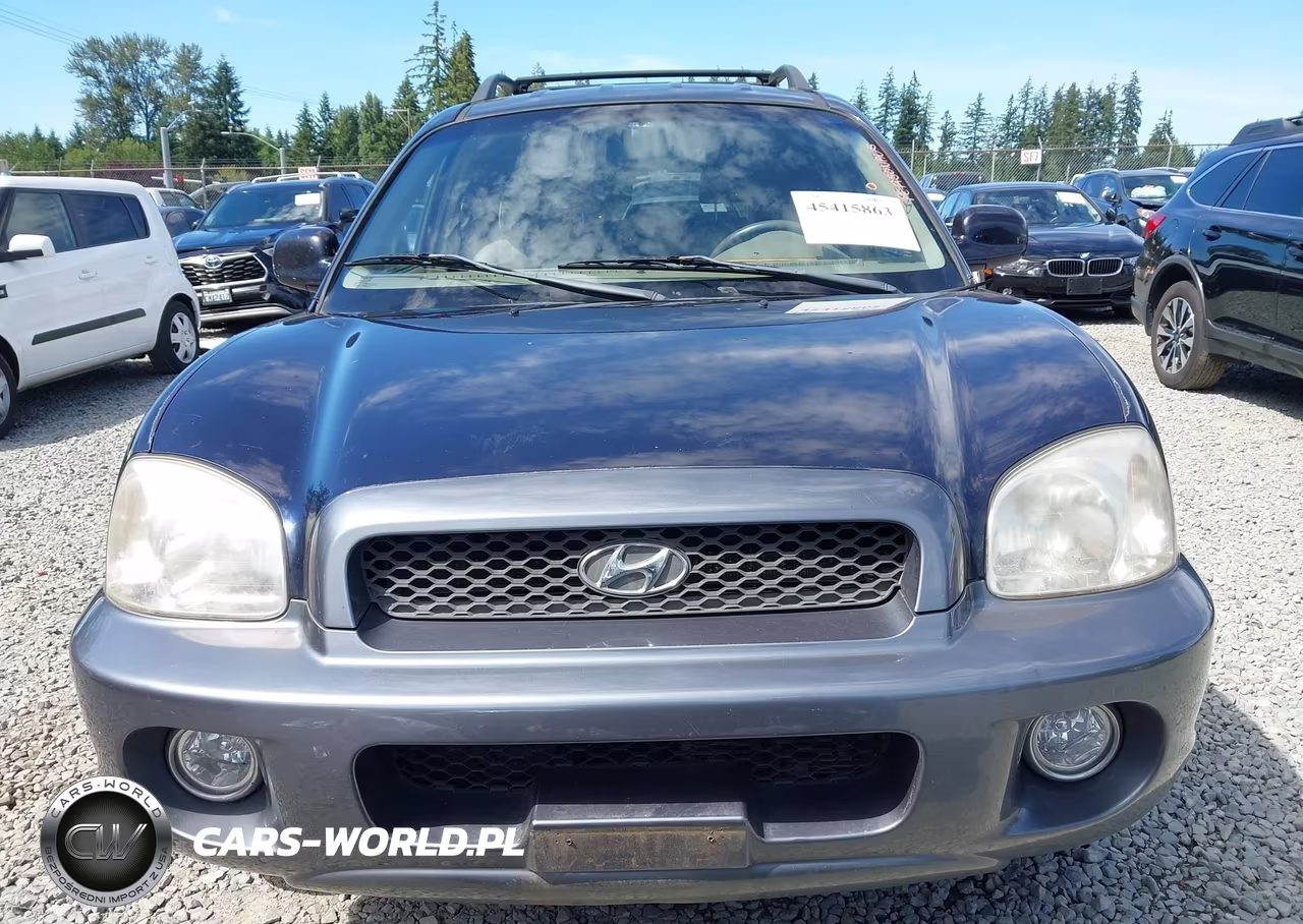 2004 Hyundai Santa Fe Gls-Lx VIN:KM8SC73E84U724397 - 13