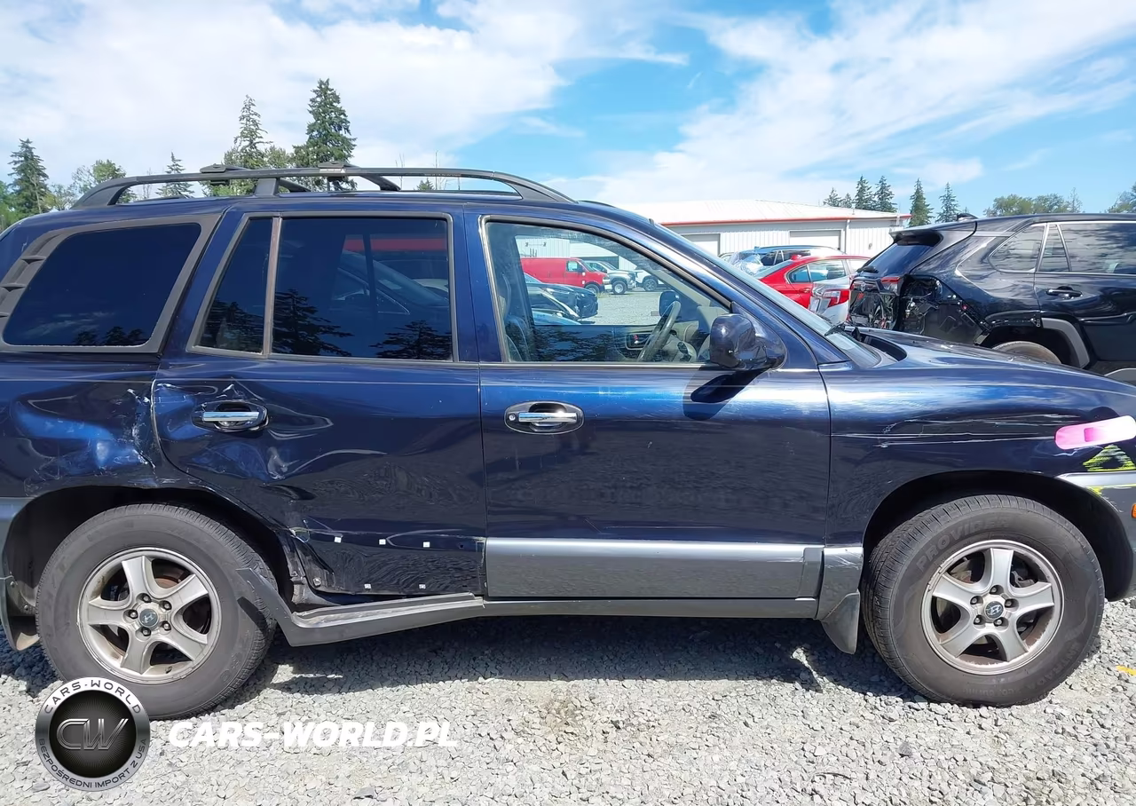 2004 Hyundai Santa Fe Gls-Lx VIN:KM8SC73E84U724397 - 14
