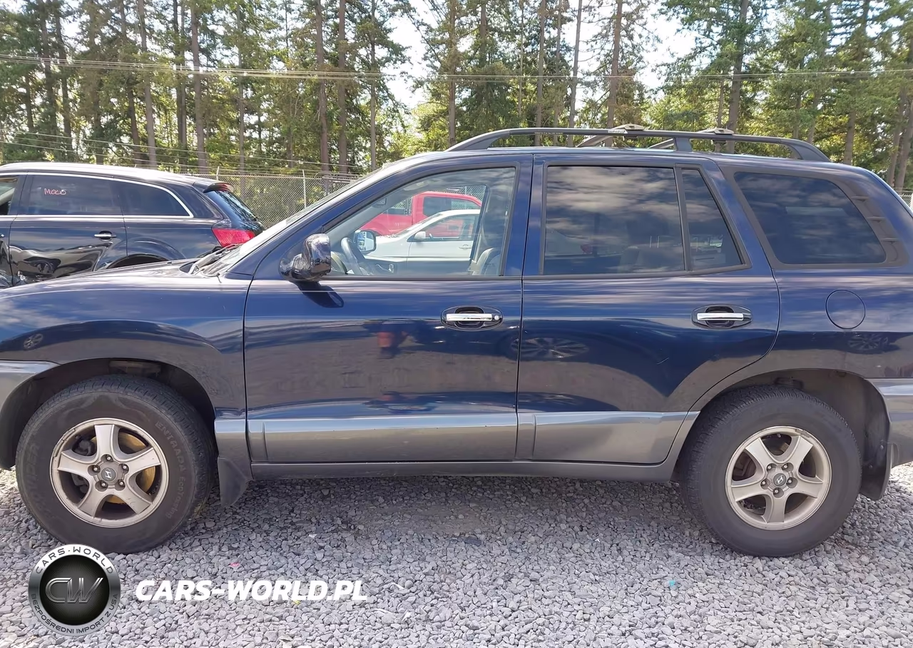 2004 Hyundai Santa Fe Gls-Lx VIN:KM8SC73E84U724397 - 15