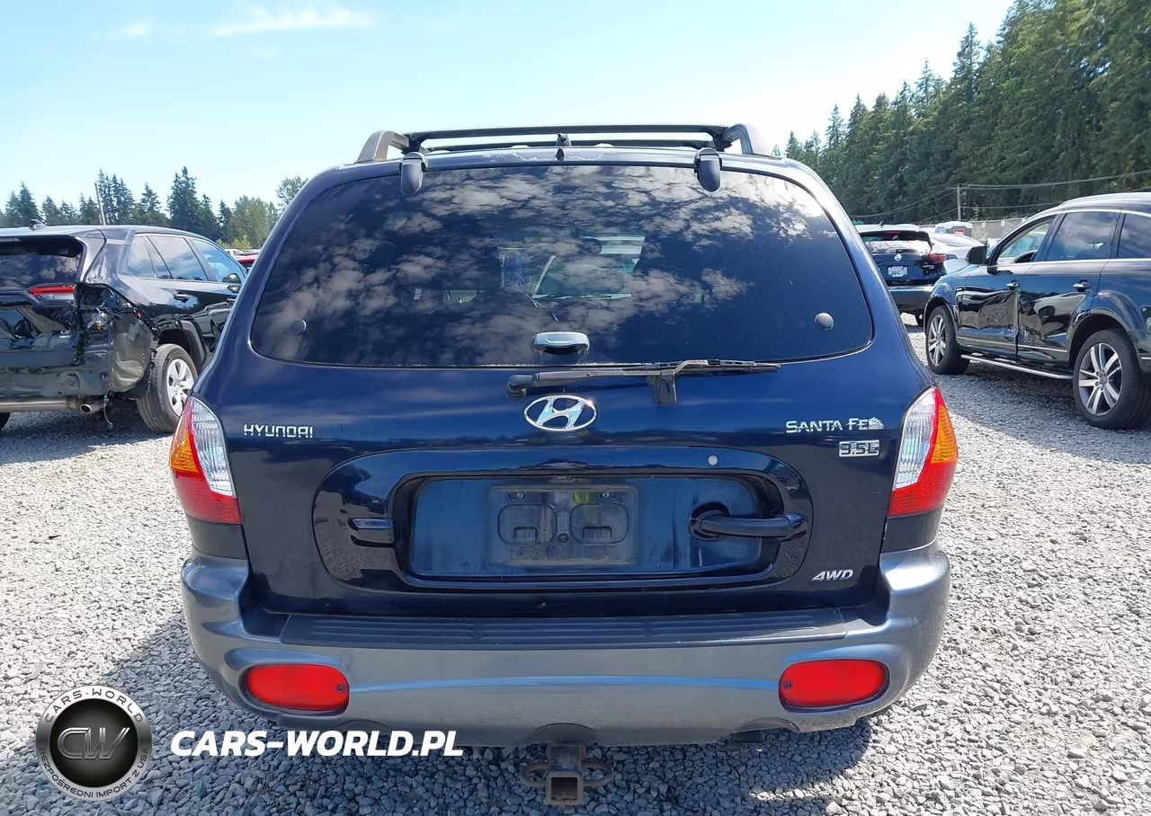 2004 Hyundai Santa Fe Gls-Lx VIN:KM8SC73E84U724397 - 17