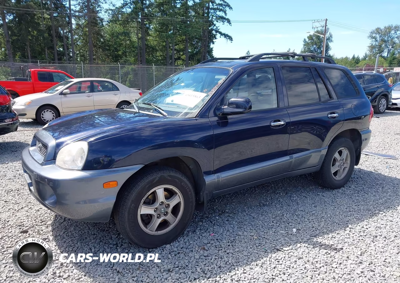 2004 Hyundai Santa Fe Gls-Lx VIN:KM8SC73E84U724397 - 2