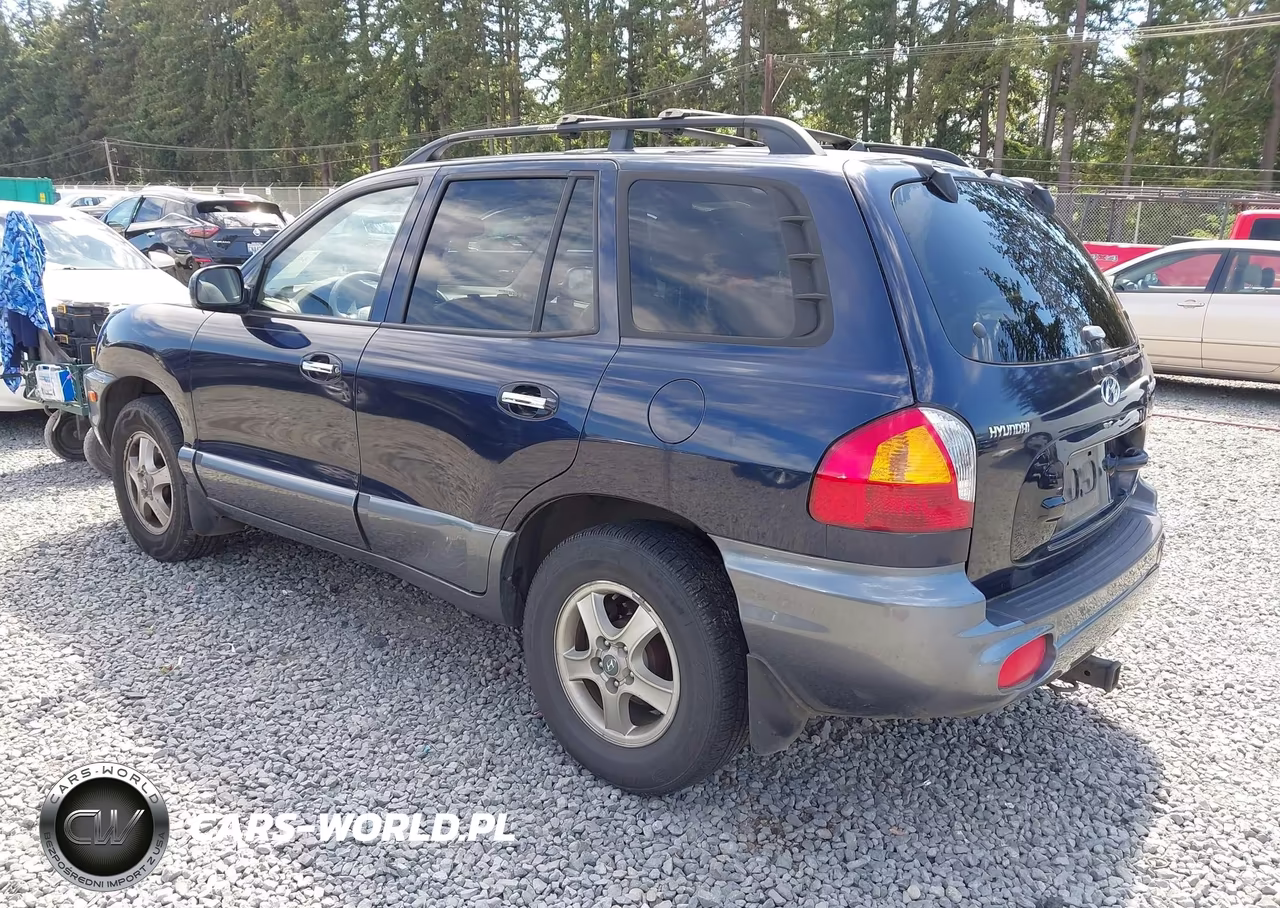 2004 Hyundai Santa Fe Gls-Lx VIN:KM8SC73E84U724397 - 3