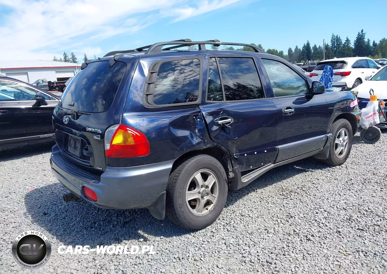 2004 Hyundai Santa Fe Gls-Lx VIN:KM8SC73E84U724397 - 4