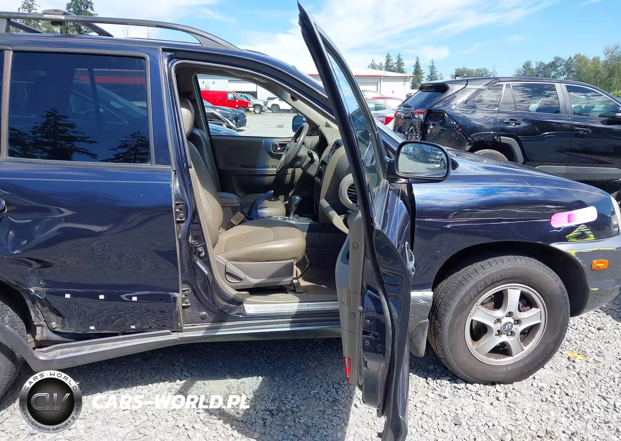 2004 Hyundai Santa Fe Gls-Lx VIN:KM8SC73E84U724397 - 5