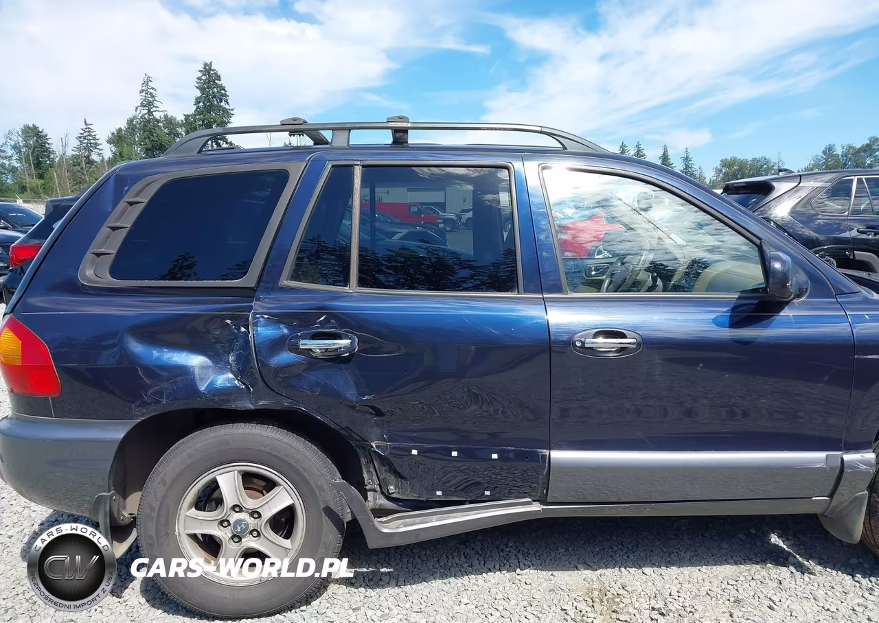 2004 Hyundai Santa Fe Gls-Lx VIN:KM8SC73E84U724397 - 6