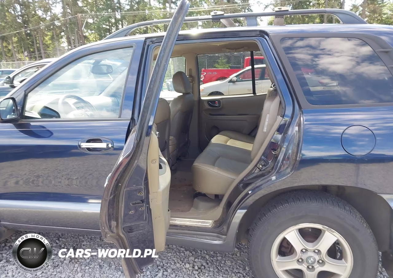 2004 Hyundai Santa Fe Gls-Lx VIN:KM8SC73E84U724397 - 8
