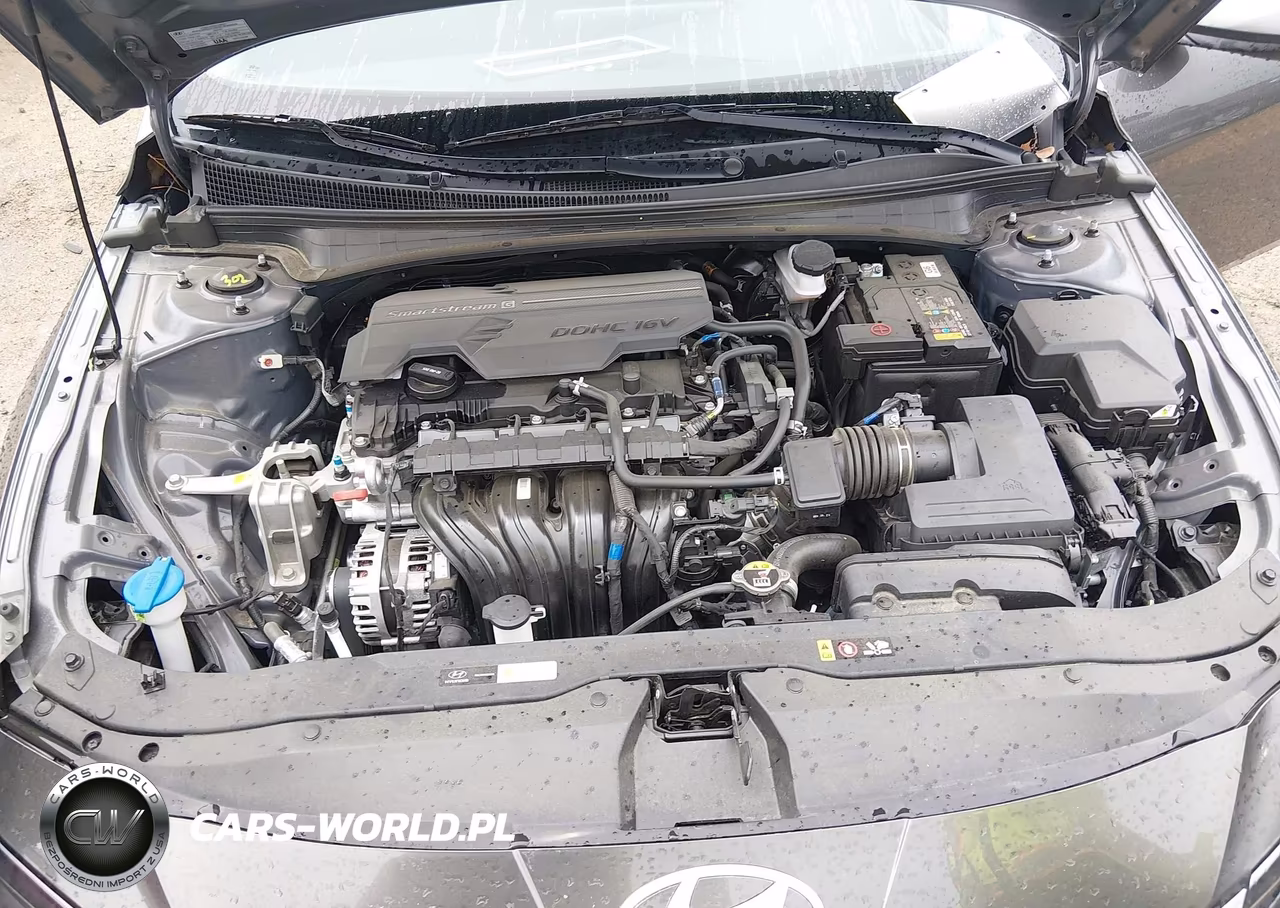 2024 Hyundai Elantra Sel VIN:KMHLM4DG9RU810146 - 10
