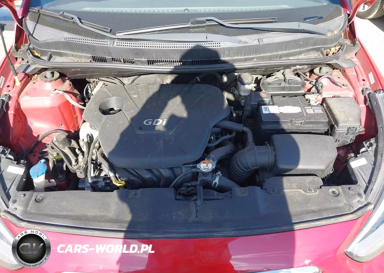 2014 Hyundai Accent Se VIN:KMHCU5AE0EU182772 - 10