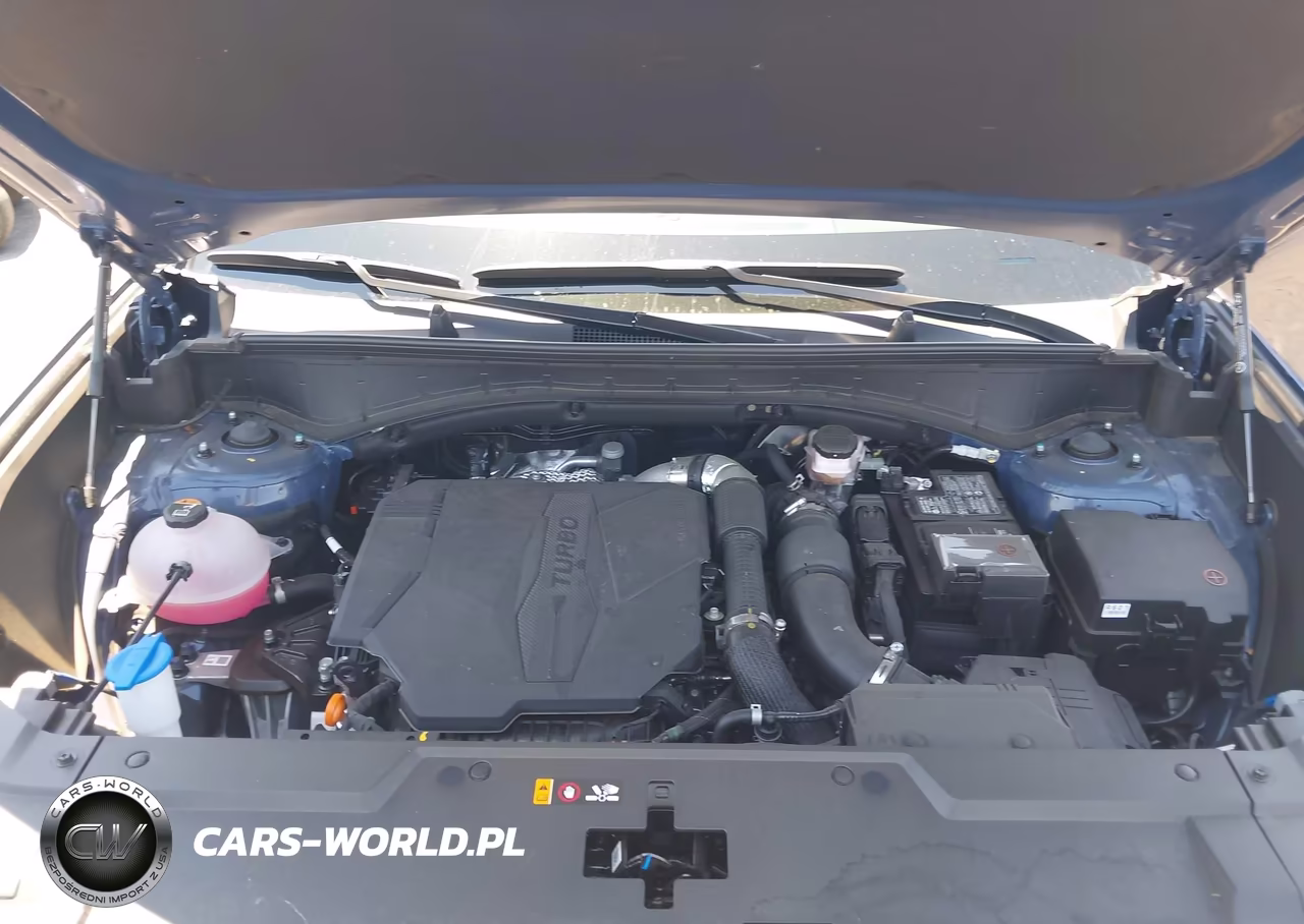 2025 Hyundai Santa Fe Sel VIN:5NMP2DGL6SH124762 - 10