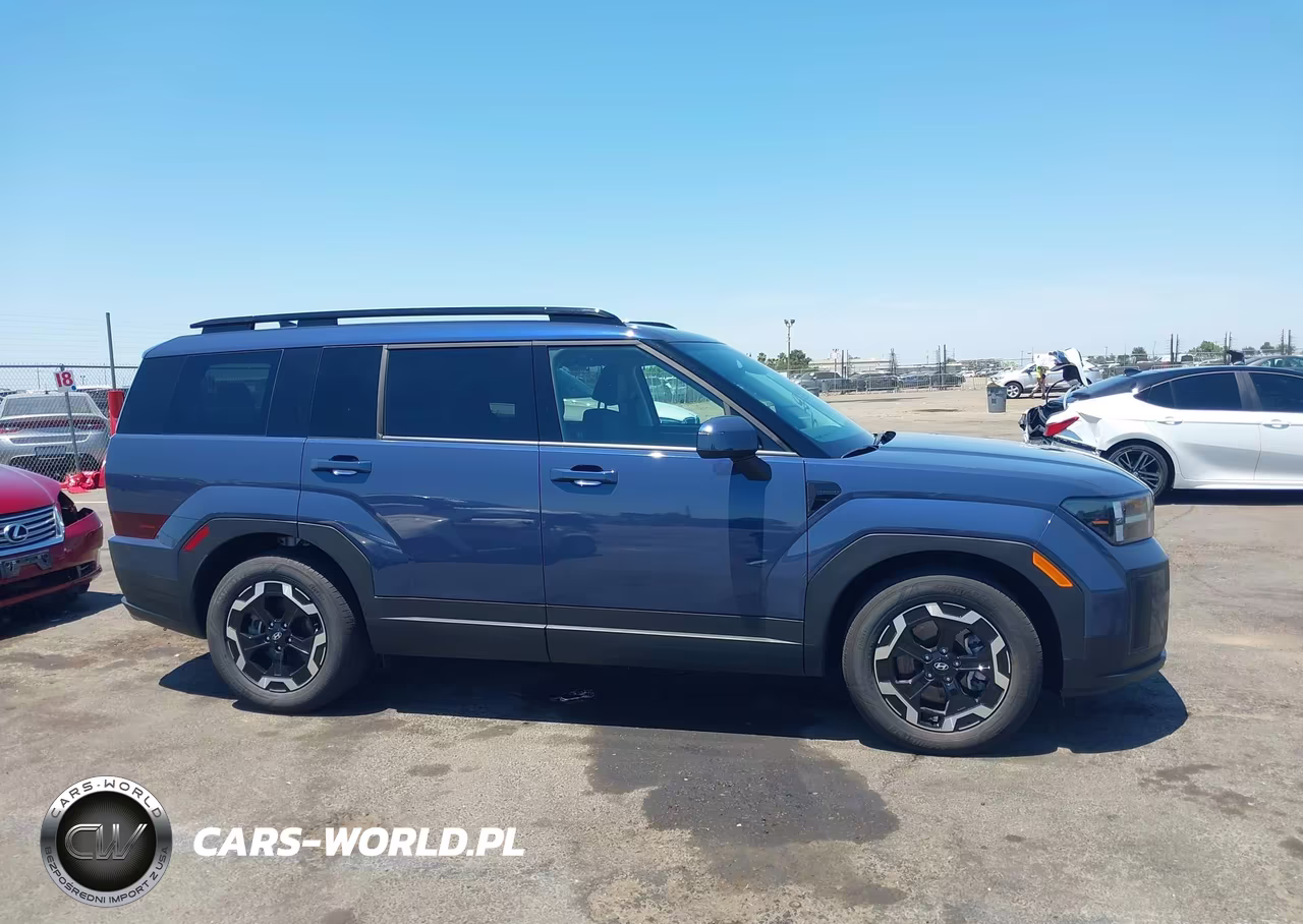 2025 Hyundai Santa Fe Sel VIN:5NMP2DGL6SH124762 - 13
