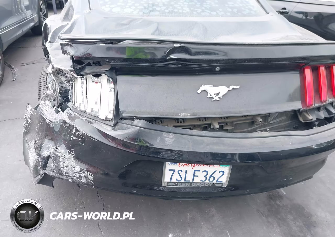 2017 Ford Mustang Ecoboost VIN:1FA6P8TH1H5266377 - 19