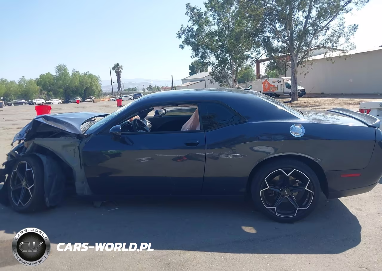2018 Dodge Challenger Sxt VIN:2C3CDZAG1JH245876 - 13