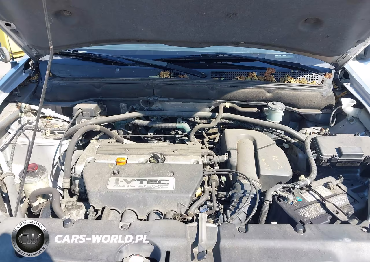 2002 Honda Cr-V Lx VIN:JHLRD68402C012241 - 10