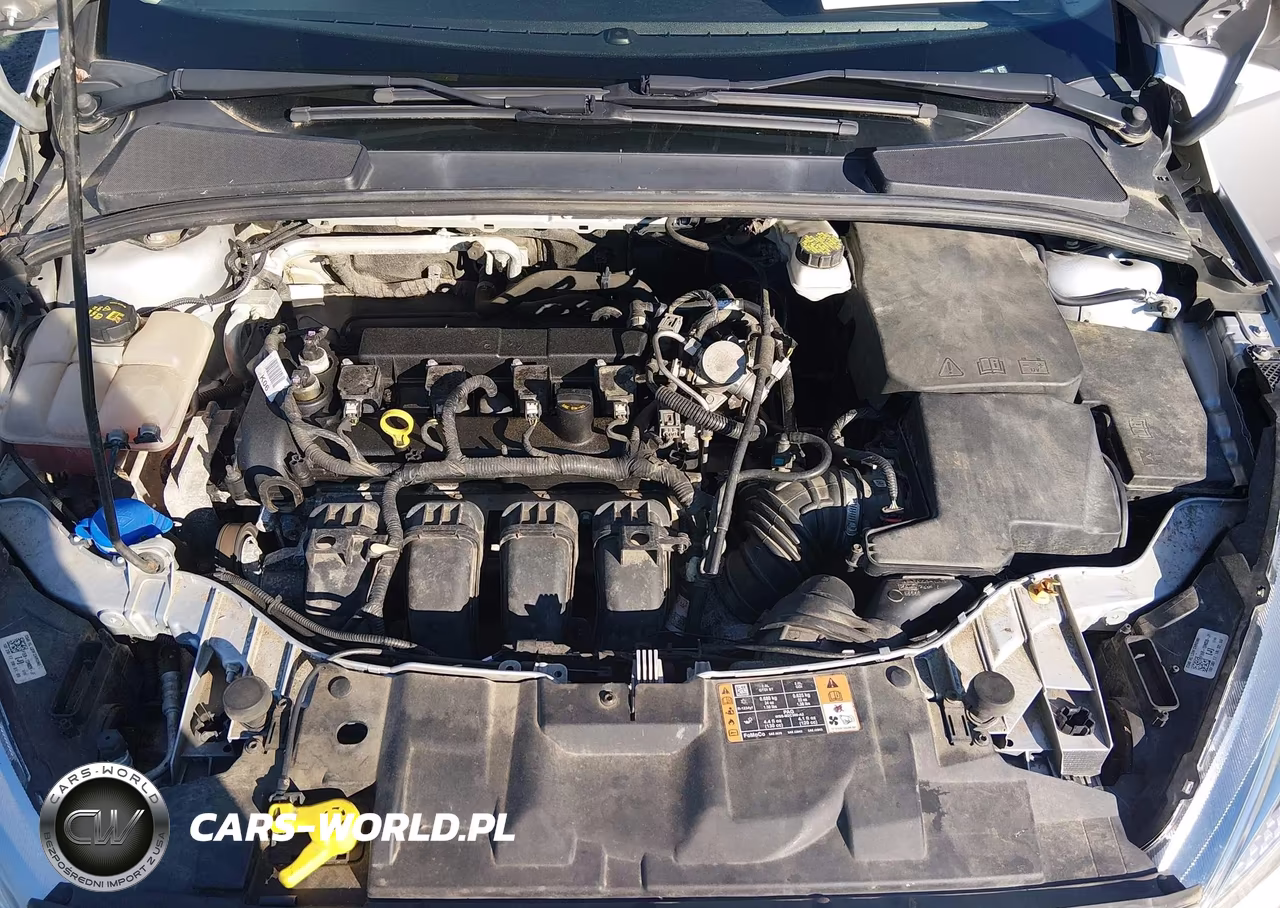 2018 Ford Focus Se VIN:1FADP3F21JL210250 - 10