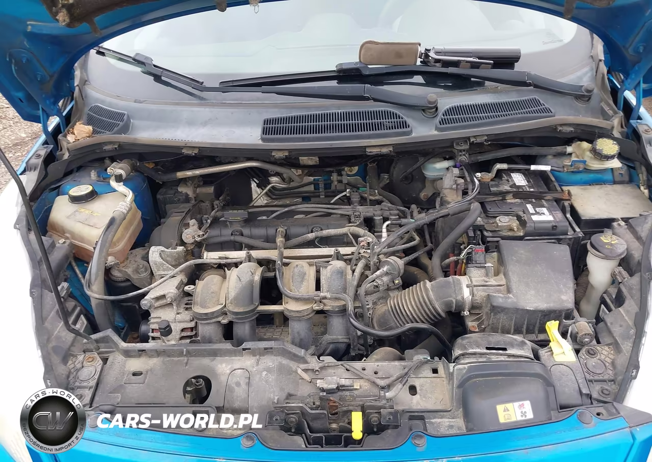 2013 Ford Fiesta Se VIN:3FADP4EJXDM171885 - 10