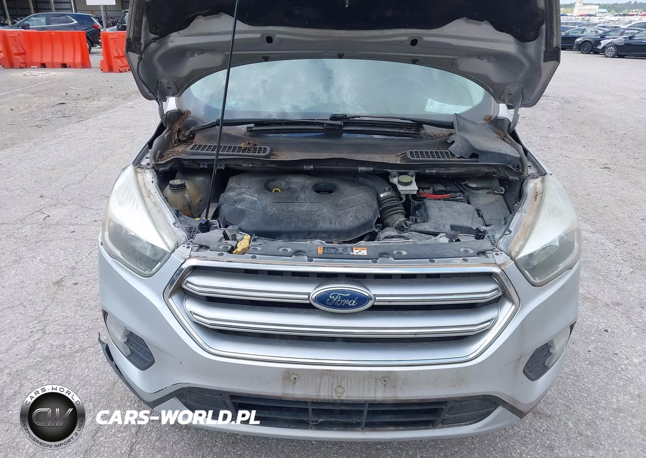 2017 Ford Escape Se VIN:1FMCU9G96HUB05362 - 10