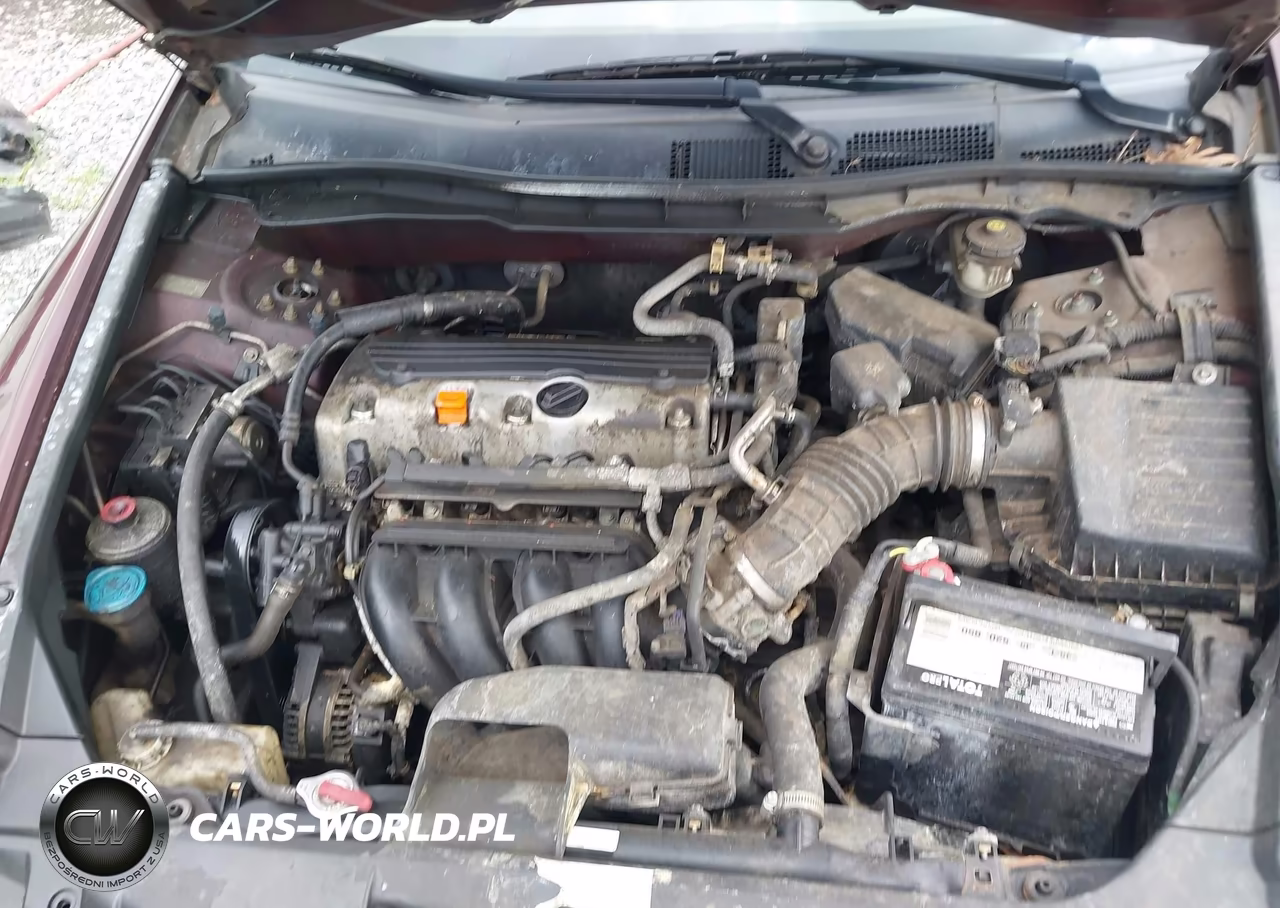 2010 Honda Accord 2.4 Lx VIN:1HGCP2F35AA020005 - 10