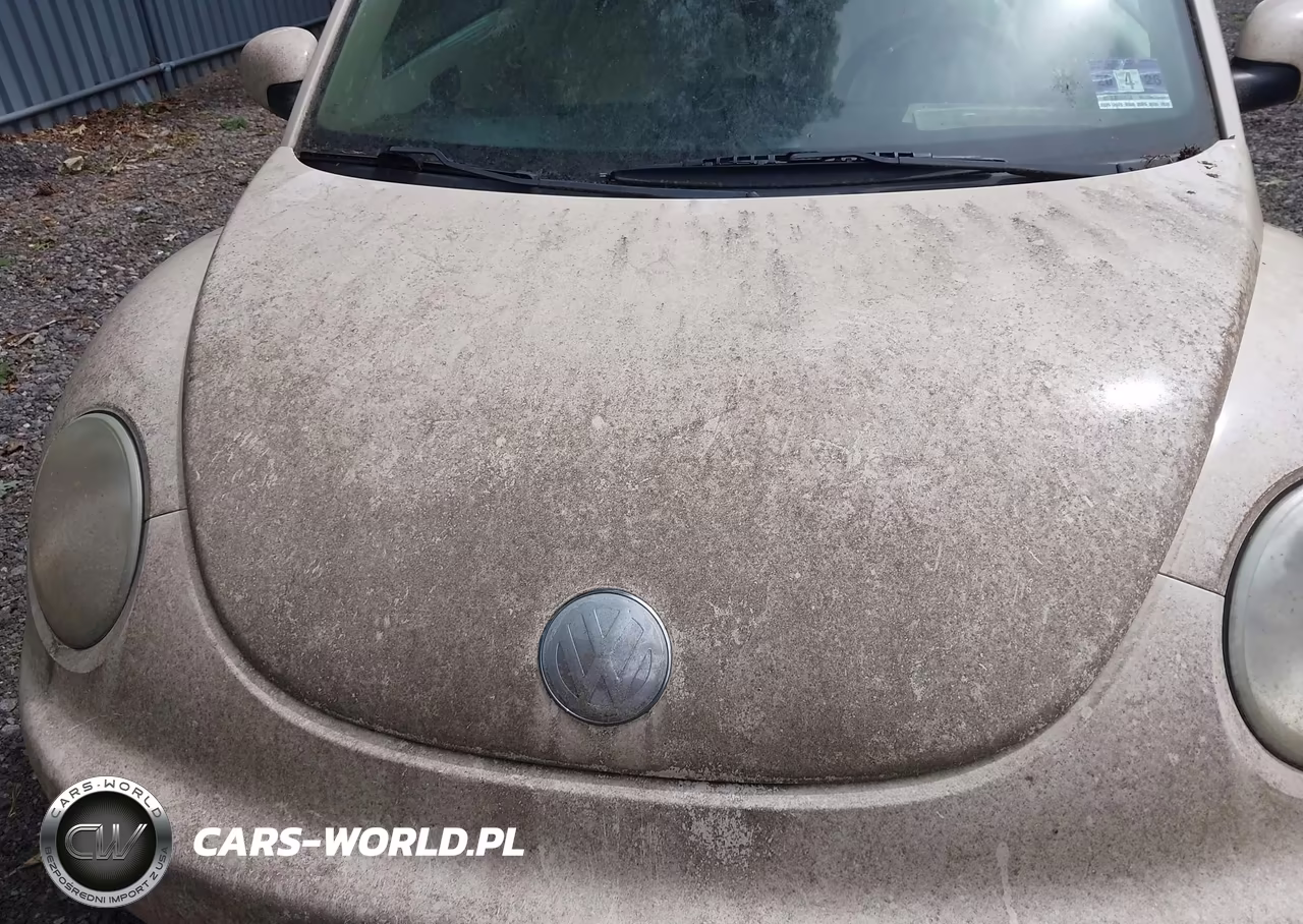 2003 Volkswagen New Beetle Gls VIN:3VWCK21Y23M313721 - 10