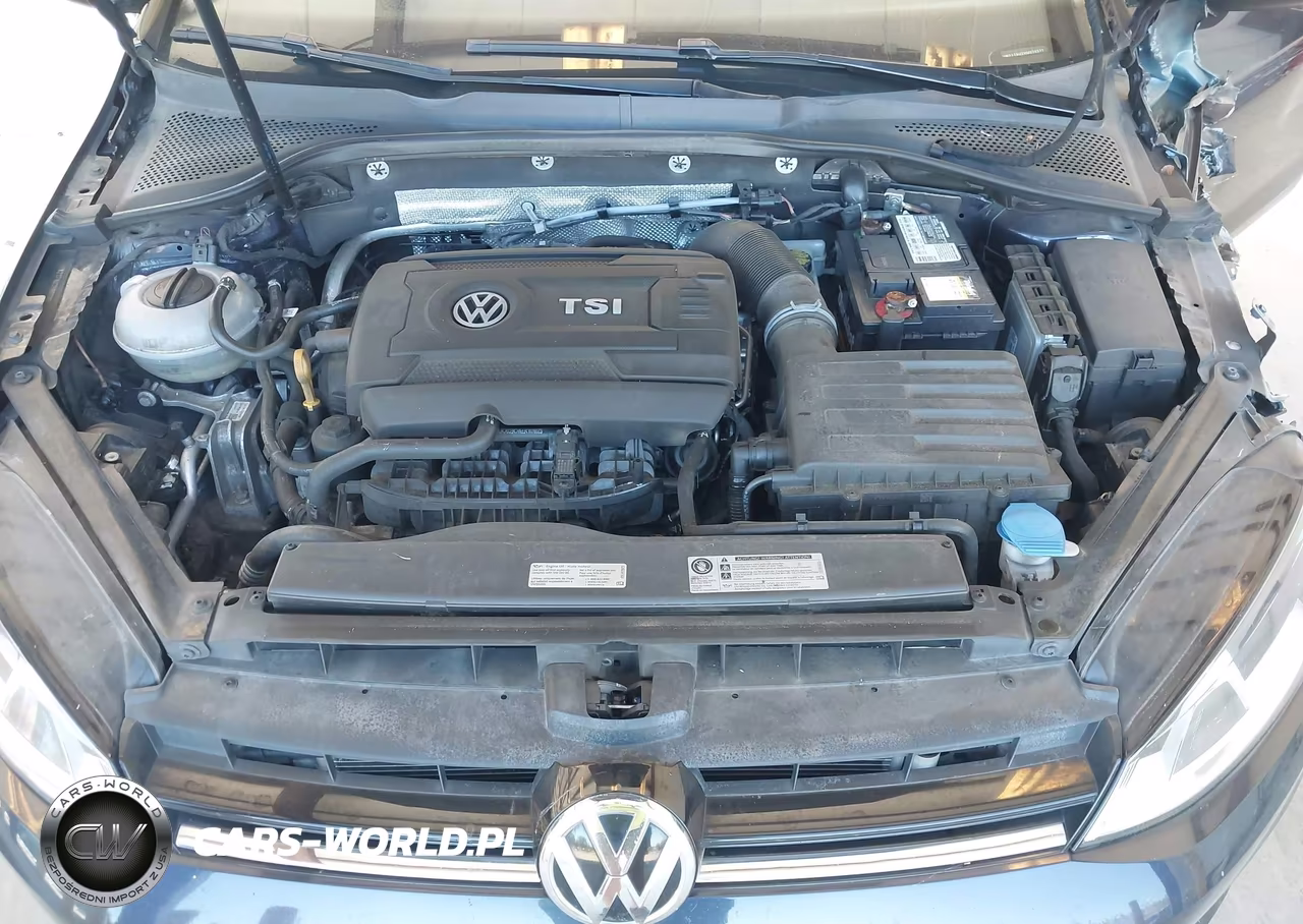 2017 Volkswagen Golf Tsi S 4-Door-Tsi Se 4-Door-Tsi Sel 4-Door-Tsi Wolfsburg Edition 4-Door VIN:3VW217AU2HM070377 - 10