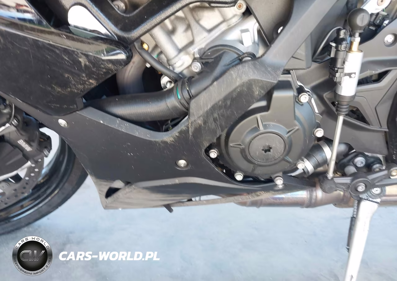 2026 BMW S 1000 Rr VIN:WB10P2302T6M21090 - 15