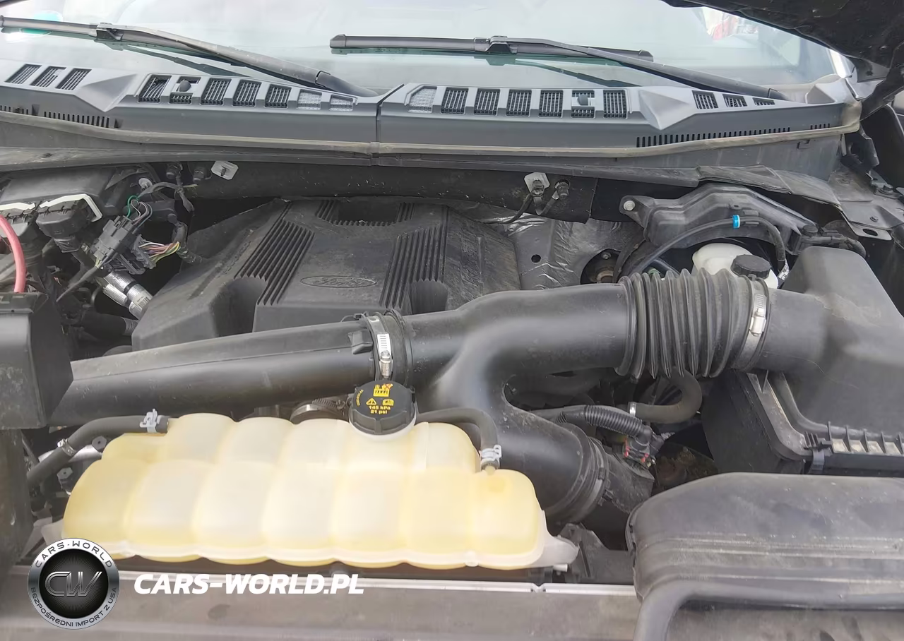 2019 Ford F-150 Xlt VIN:1FTFW1E48KFA75944 - 10