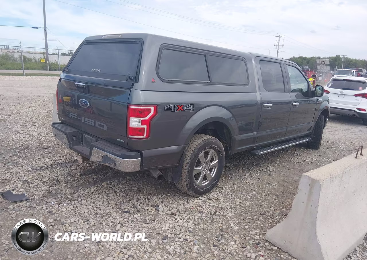 2019 Ford F-150 Xlt VIN:1FTFW1E48KFA75944 - 4